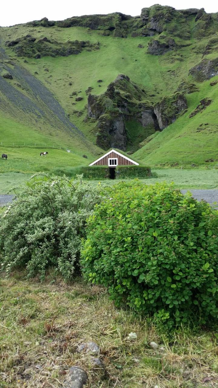 Giljur Guesthouse Vík Dış mekan fotoğraf