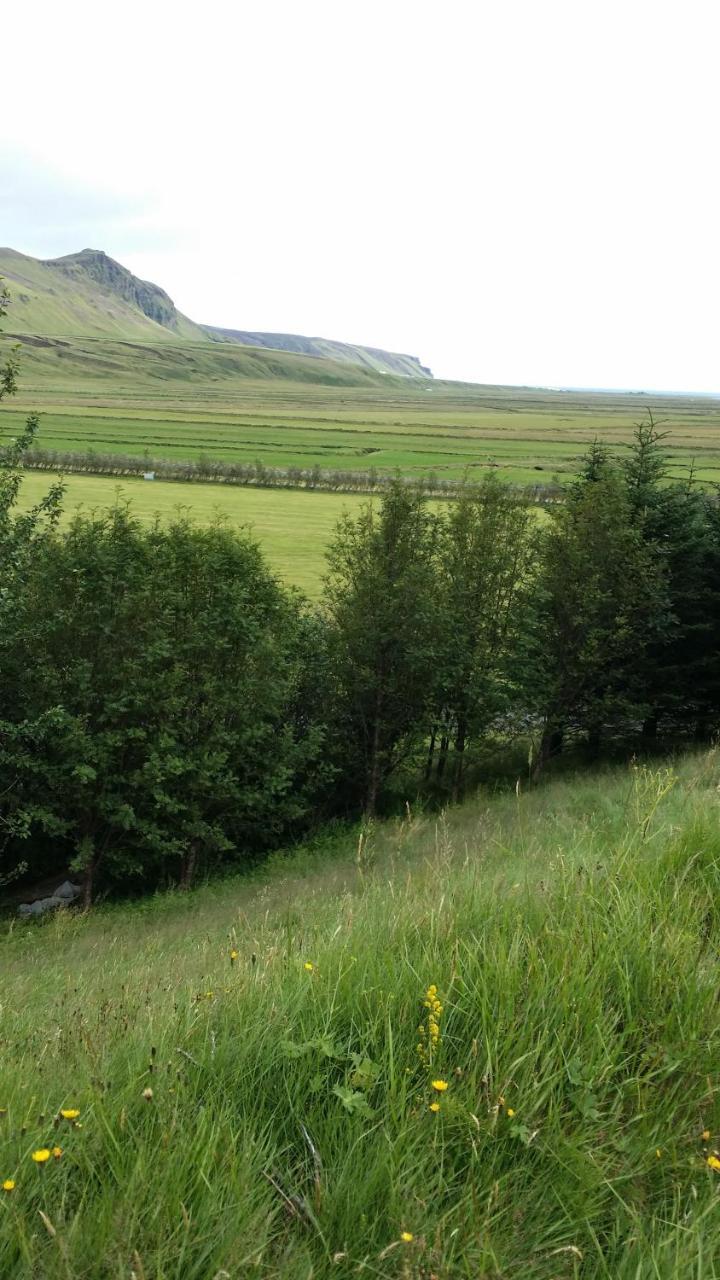 Giljur Guesthouse Vík Dış mekan fotoğraf